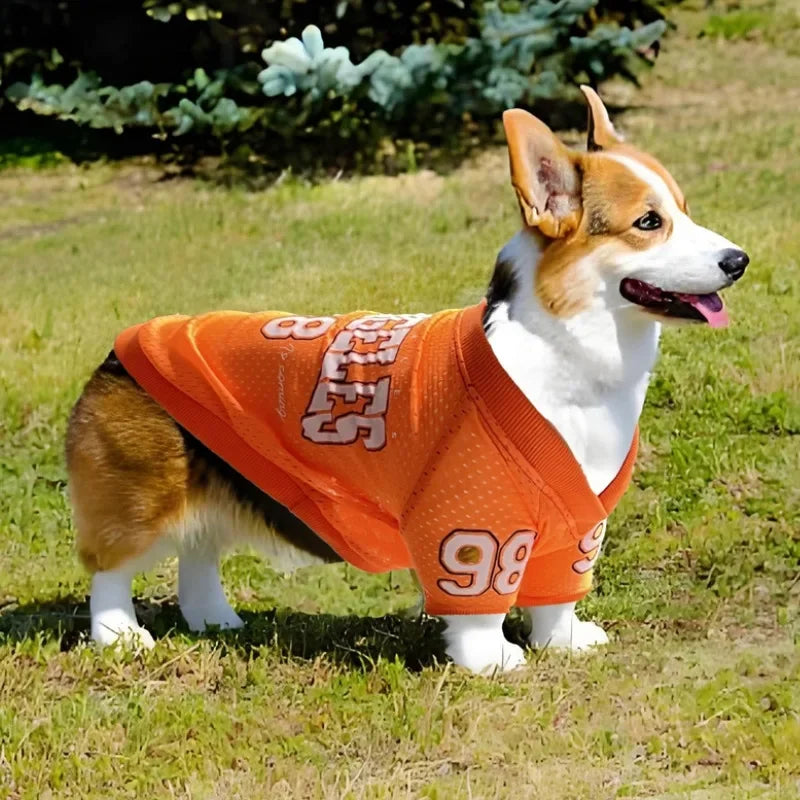 Basketball Jersey Mesh Breathable for Dogs