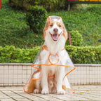Solid Pet Rain Coat for Small Medium Dogs Raincoat Clothes