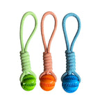 Interactive Rope Rubber Leaking Balls for Small Medium Dogs