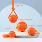 Bouncy Rubber Ball Chew Dog Toy Ball