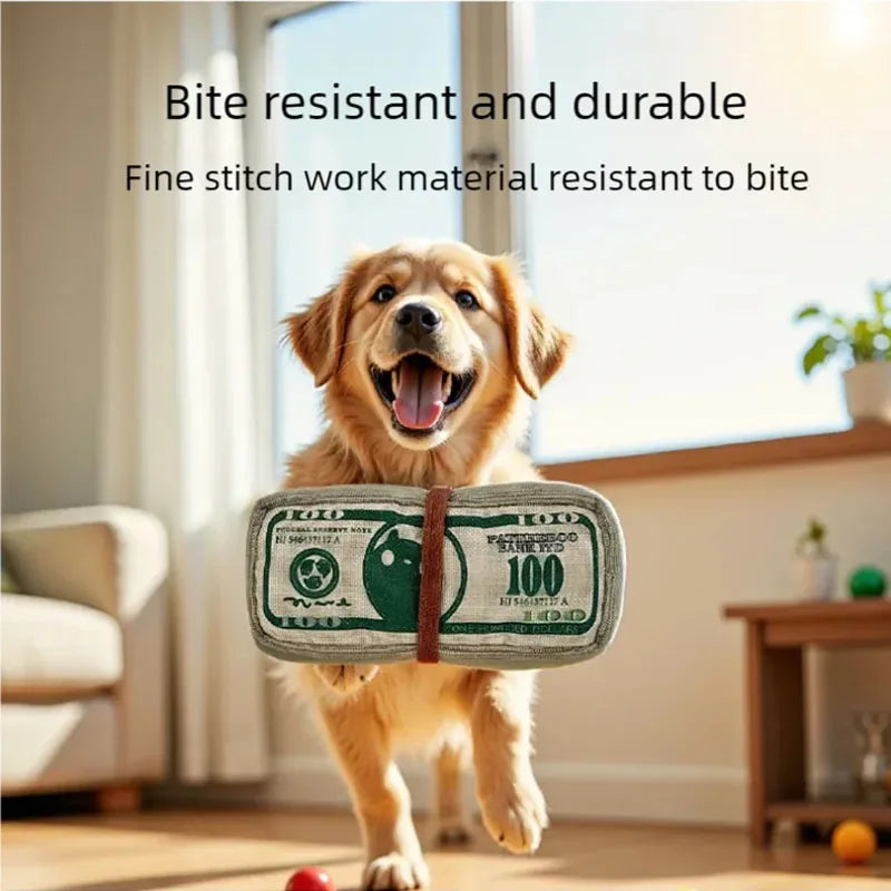 Dog gnawing toy, dollar bill, grinding teeth, self soothing, noisy paper toy