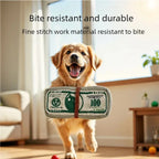 Dog gnawing toy, dollar bill, grinding teeth, self soothing, noisy paper toy