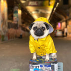 Dog Raincoat Pet Waterproof Jacket Bulldog Windbreaker Poodle Pug Bichon Puppy Coat Rainwear PU S-5XL High Quality Dog Raincoat