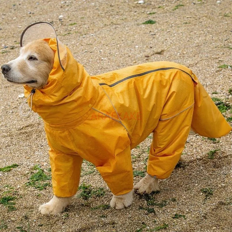 Medium to large dog all inclusive raincoat.