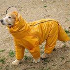 Medium to large dog all inclusive raincoat.