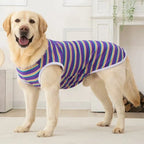 Summer Sleeveless Vest Pajamas