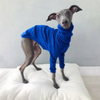 Spring Autumn High Collar Two-legged Whippet Turtleneck Pajamas Dog Supplies