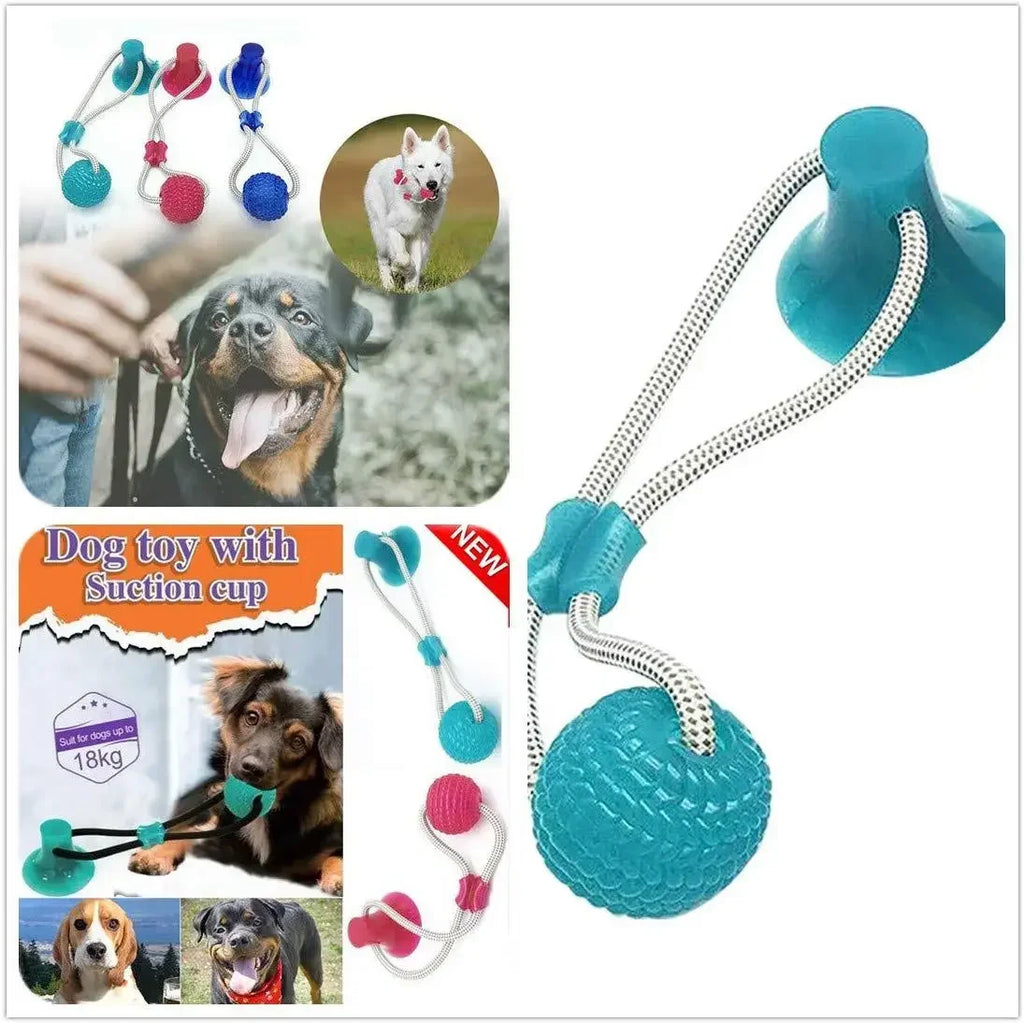 Pet Toys for Small Dogs with TPR Ball, Pet Tooth Cleaning Chewing Toy with Suction Cup