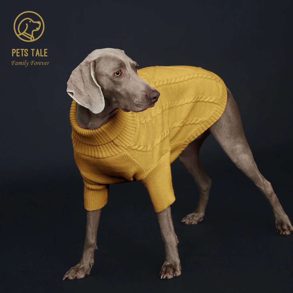 Spring Sweater with Sleeves, Cable Knit, D-ring Hole Detail for Dogs