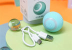 Electric Smart Puppy Ball Toy