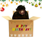 3D Popup Happy Birthday Card Dog or Monkey
