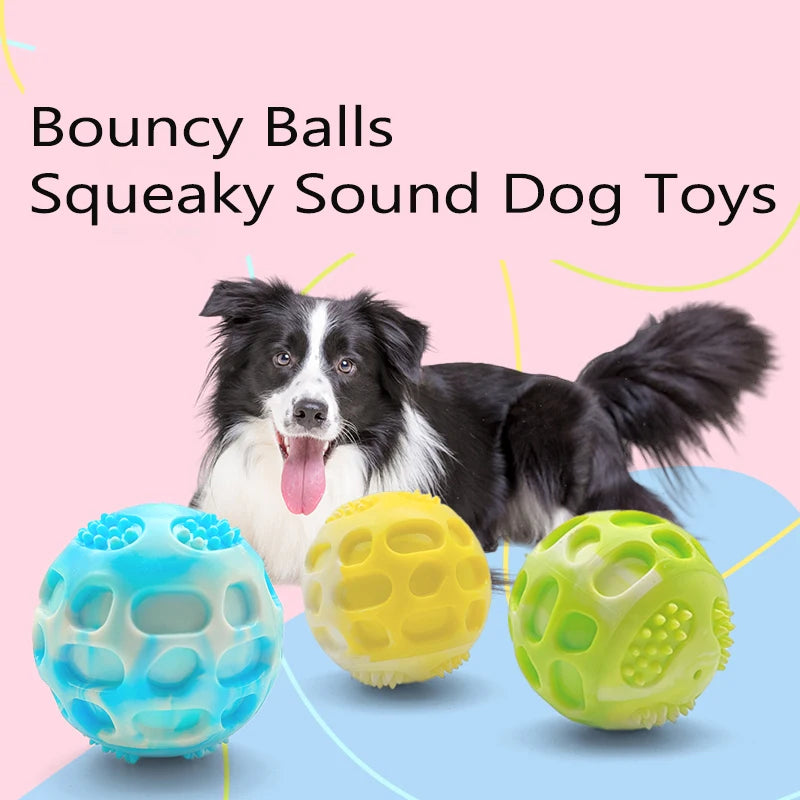 Pet dog toy durable, suitable for use during outdoor training.