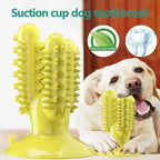 Toothbrush for Dogs Interactive Training IQ Teeth Cleaning for Small Medium Large Dogs