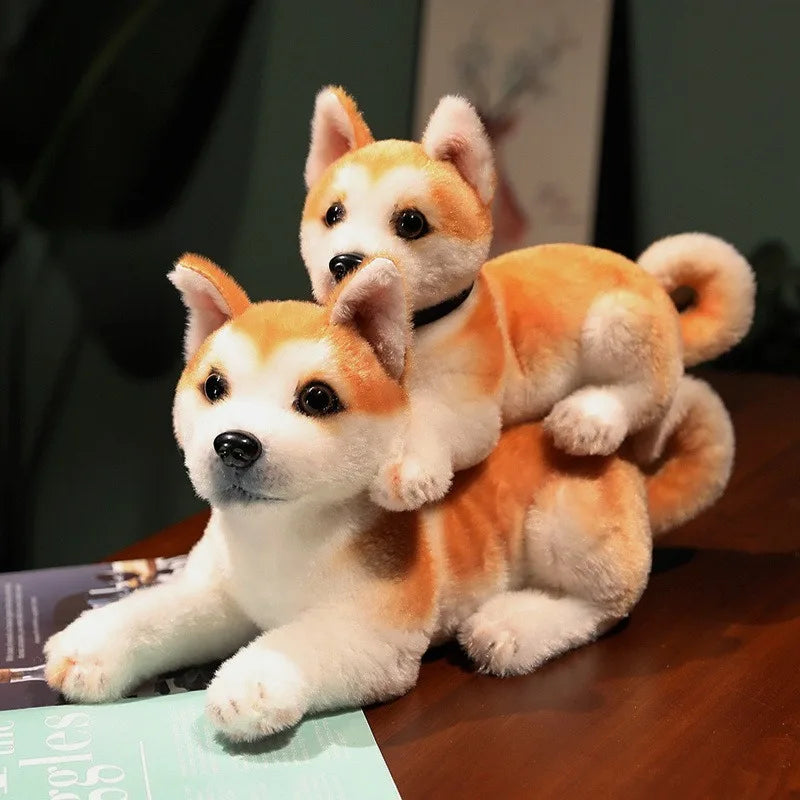Soft Interactive Dog Toy