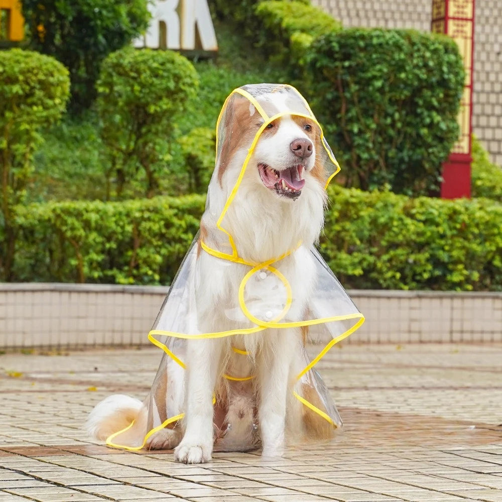 Transparent Pet Raincoat Comprehensive Medium and Large dogs