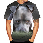 Funny Cute Dogs T-Shirts Animal 3D Print Streetwear Men Women Casual Fashion