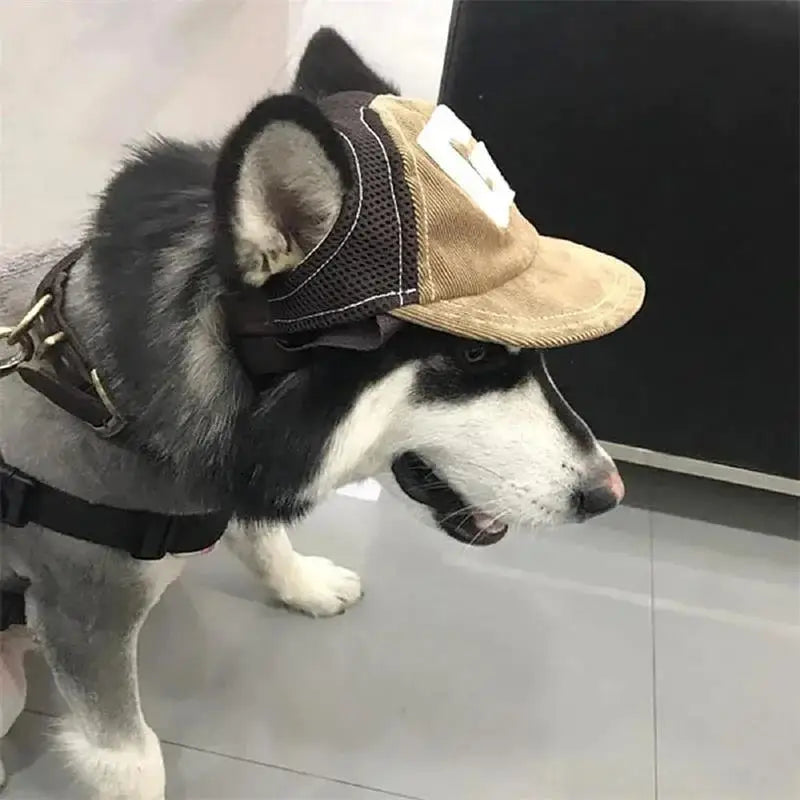Dog Small Medium Baseball Cap Outdoor With Ear Holes Adjustable