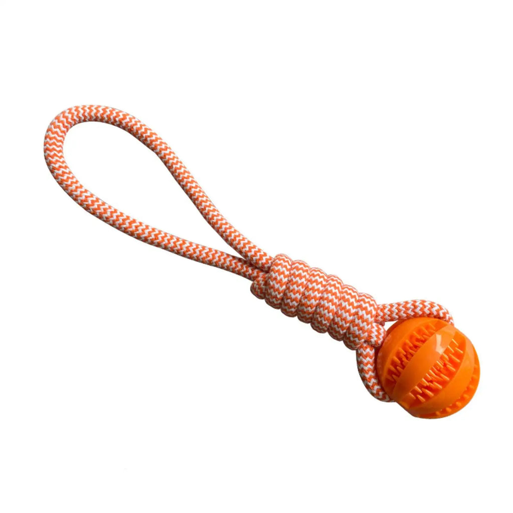 Interactive Rope Rubber Leaking Balls for Small Medium Dogs