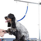 Pet Grooming Leashes Table Adjustable Nylon Restraint