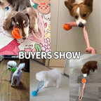 Interactive Rope Rubber Leaking Balls for Small Medium Dogs