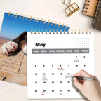 Funny Magical Dog Wall Calendar 2026