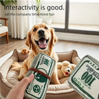 Dog gnawing toy, dollar bill, grinding teeth, self soothing, noisy paper toy