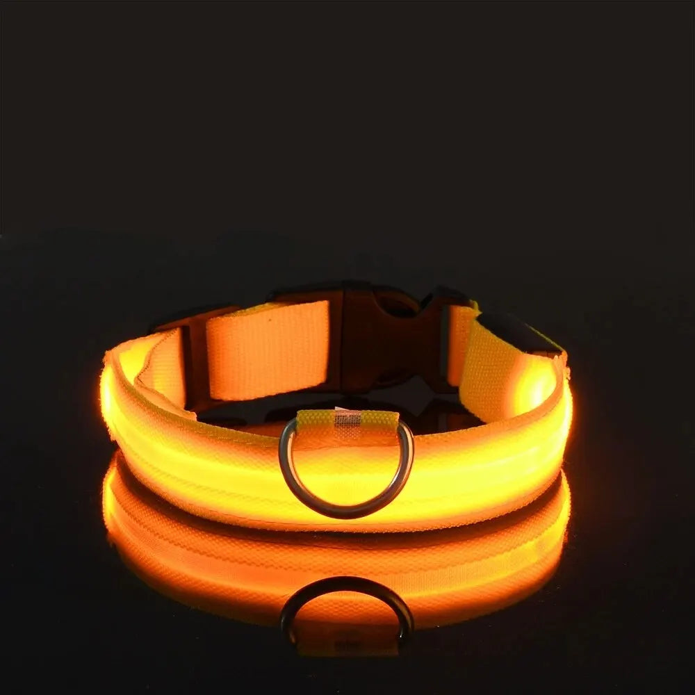 Nylon LED Night Safety Glow In The Dark Dog Leash Luminous Fluorescent Collar