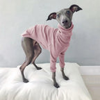 Spring Autumn High Collar Two-legged Whippet Turtleneck Pajamas Dog Supplies