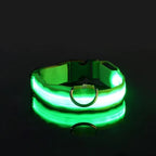 Nylon LED Night Safety Glow In The Dark Dog Leash Luminous Fluorescent Collar