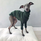 Spring Autumn High Collar Two-legged Whippet Turtleneck Pajamas Dog Supplies