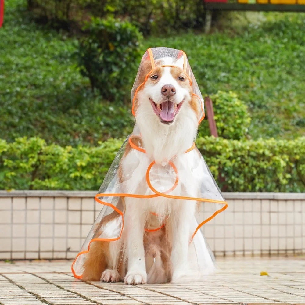 Transparent Pet Raincoat Comprehensive Medium and Large dogs