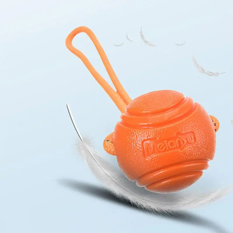 Bouncy Rubber Ball Chew Dog Toy Ball