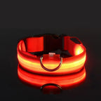 Nylon LED Night Safety Glow In The Dark Dog Leash Luminous Fluorescent Collar