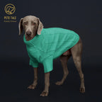Spring Sweater with Sleeves, Cable Knit, D-ring Hole Detail for Dogs