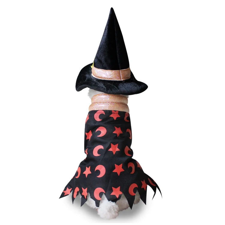 Dog Christmas, Halloween, Clown Chihuahua Costume
