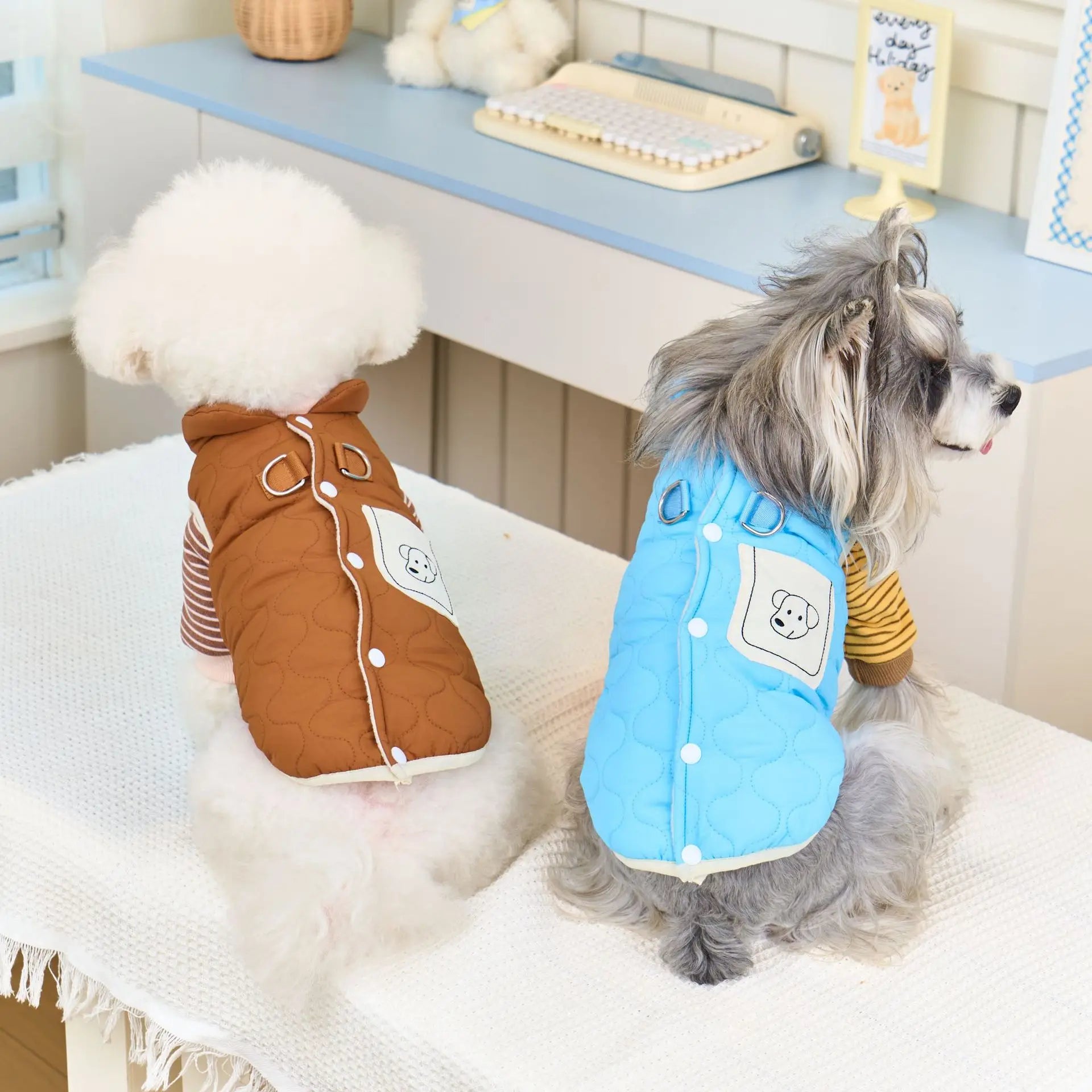 Windproof Winter Vest, Cozy Fleece for Outdoor Walk for small medium dogs