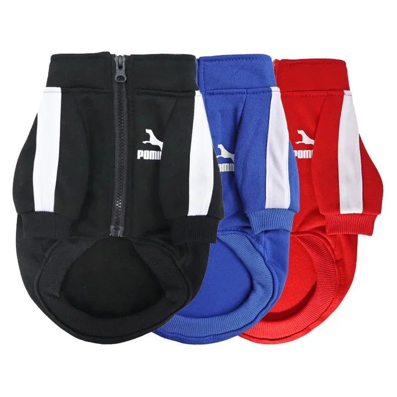 Baseball Jacket Winter for Small Medium Dogs