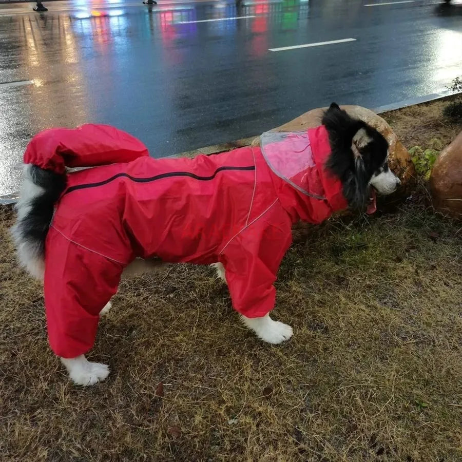 Medium to large dog all inclusive raincoat.