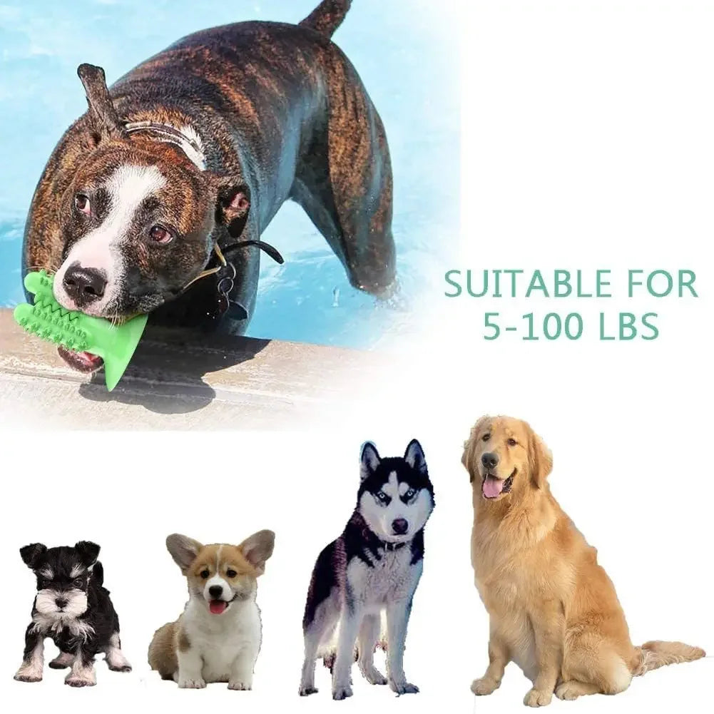 Toothbrush for Dogs Interactive Training IQ Teeth Cleaning for Small Medium Large Dogs