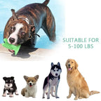 Toothbrush for Dogs Interactive Training IQ Teeth Cleaning for Small Medium Large Dogs