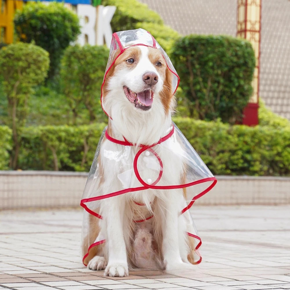 Transparent Pet Raincoat Comprehensive Medium and Large dogs