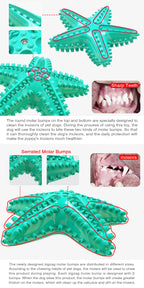 For Large Dogs Tooth Cleaning Chew Funny Interactive Training Starfish Toy