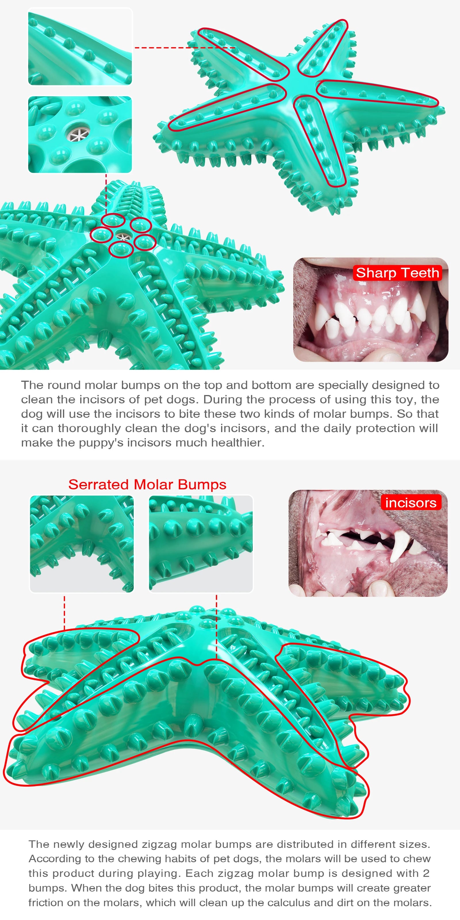 For Large Dogs Tooth Cleaning Chew Funny Interactive Training Starfish Toy