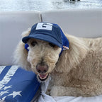 Dog Hat Sunscreen Baseball Cap Outdoor Sports With Ear Holes Adjustable
