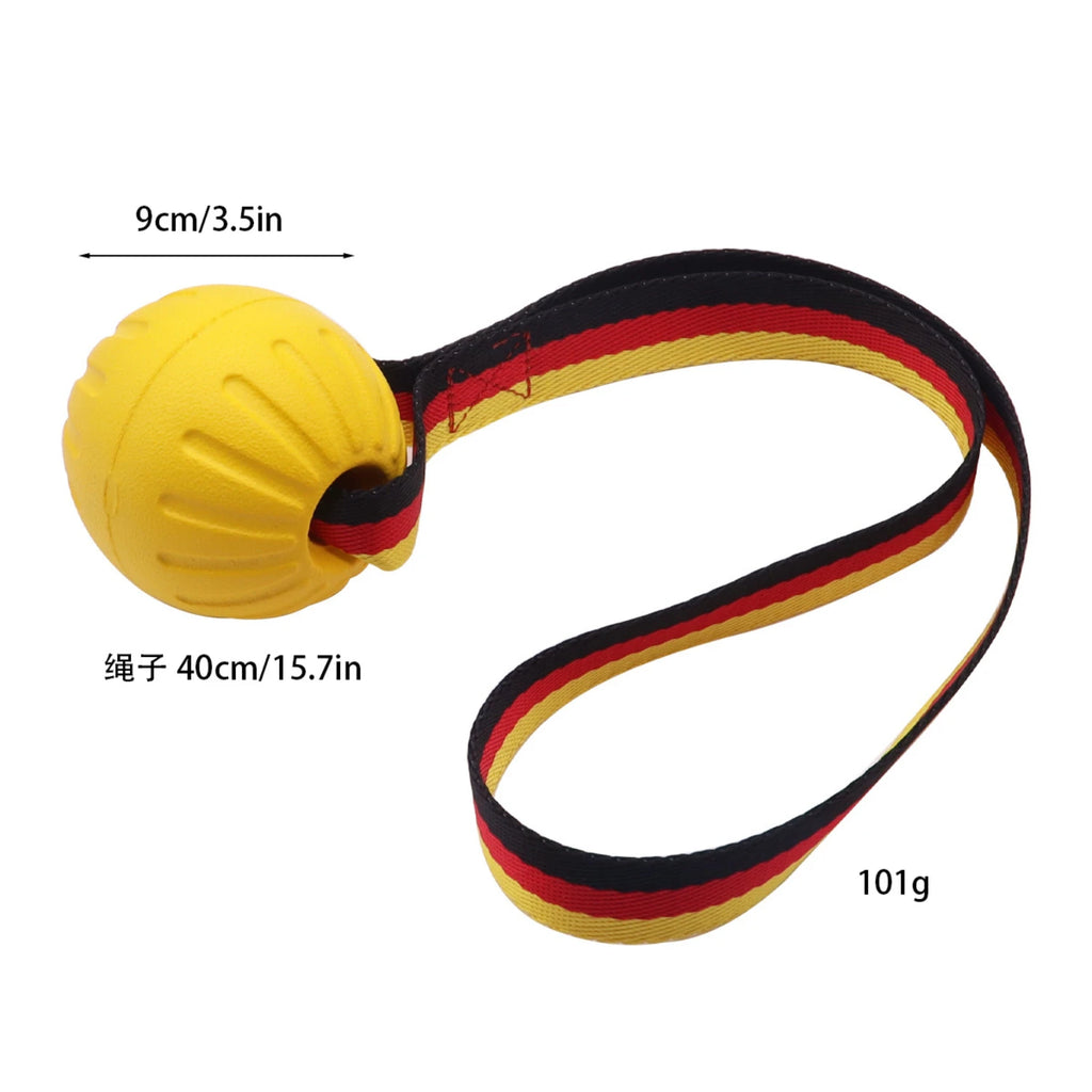 Ball On a Rope for Small Medium Large Dogs Chewers