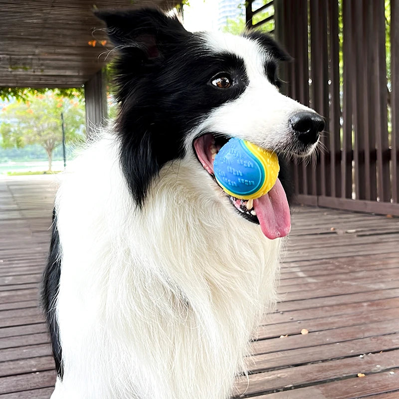Interactive Soft TPR Squeaky Toy for Dogs