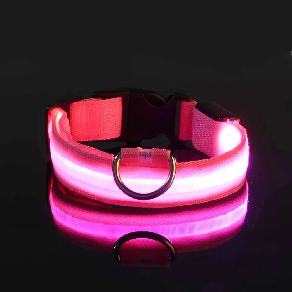 Nylon LED Night Safety Glow In The Dark Dog Leash Luminous Fluorescent Collar