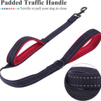 Double Handle Dog Leash, Double-Sided Reflective Night Safety