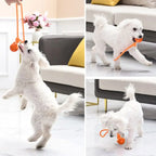 Bouncy Rubber Ball Chew Dog Toy Ball