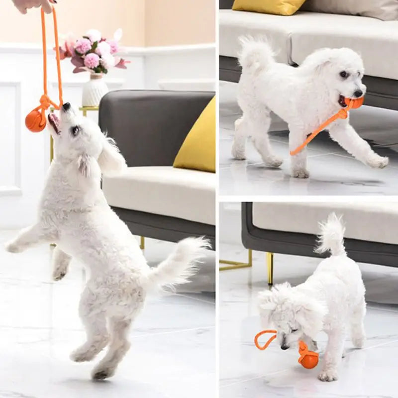 Bouncy Rubber Ball Chew Dog Toy Ball